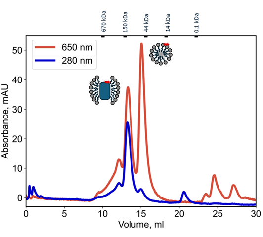 Figure 2 SEC Elution profile medium.png
