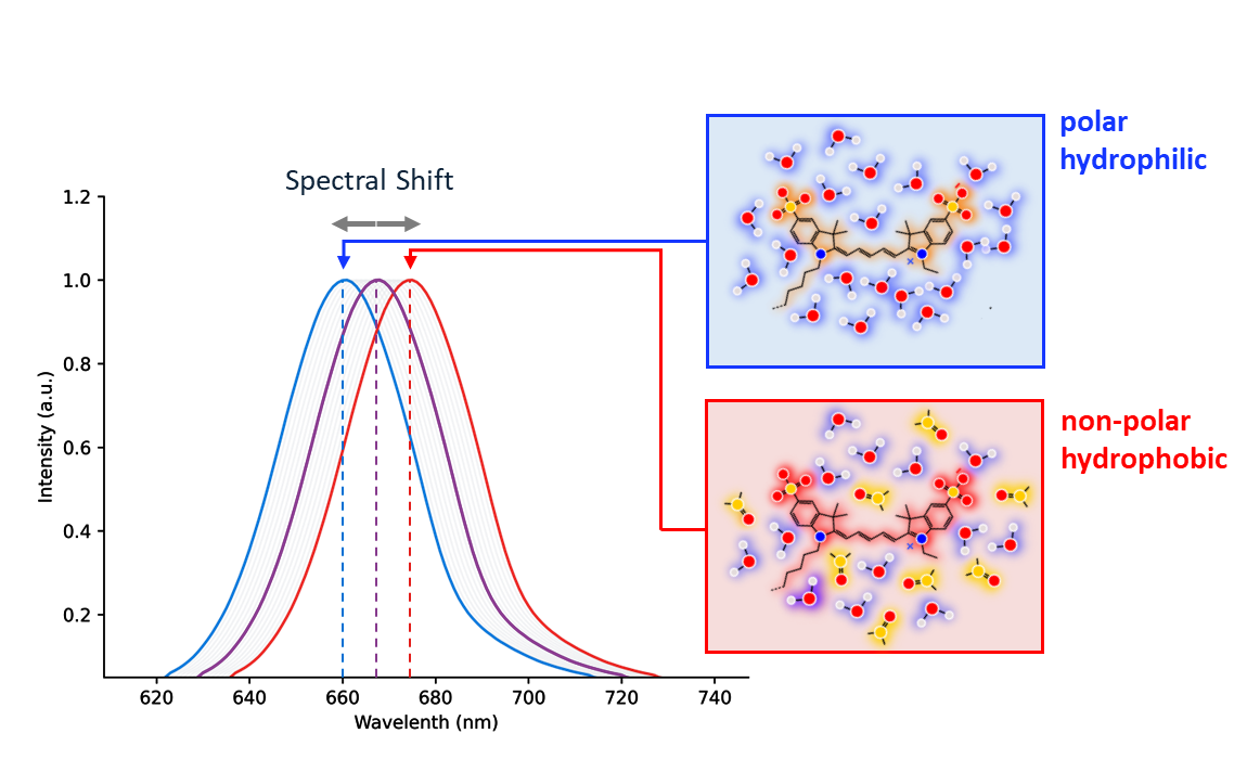 Binding curve direction in Spectral Shift – NanoTemper Technologies